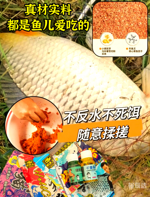 钓鱼王论坛钓鱼王论坛，探索钓鱼爱好者的交流平台-第1张图片