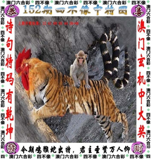 今天澳门晚上出什么马是单还是双今天澳门晚上有什么马？-第1张图片