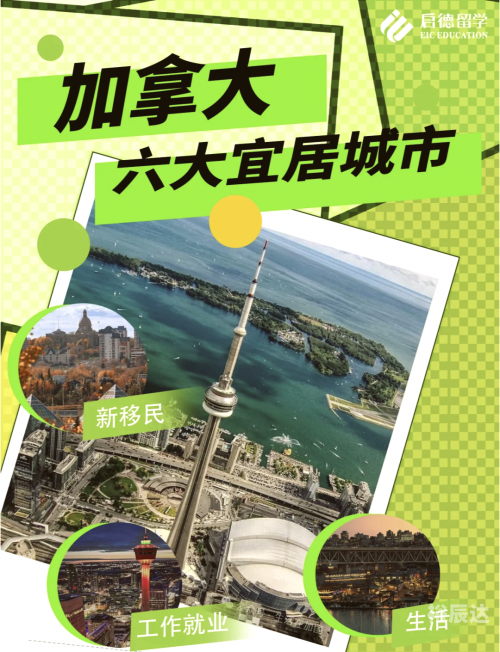 南国特区，多元文化与繁荣发展的魅力之地-第3张图片