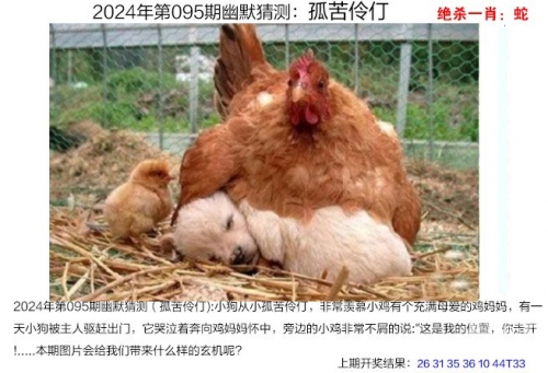 今晚买四不像今晚买四不像