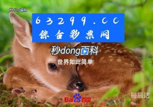 360彩票正规合法吗关键词，360彩票安全吗