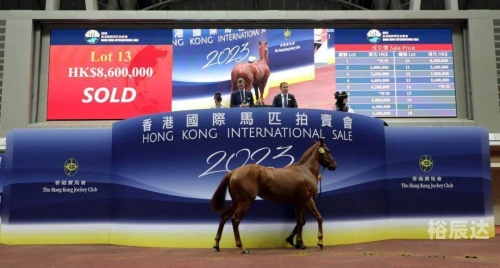香港马会内部免费资枓香港马会内部免费资源介绍-第1张图片