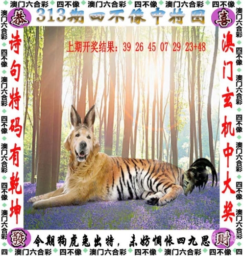 全香港最快最准的资料四不像全香港最快最准资料概述