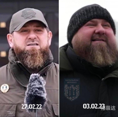 七位数开奖，神秘与惊喜的交织