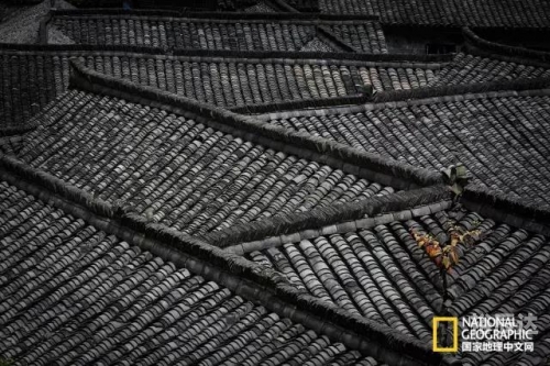 浙江风釆旧版走势图浙江风釆旧版走势图分析-第3张图片