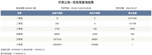 2024年新奥特开奖记录查询表