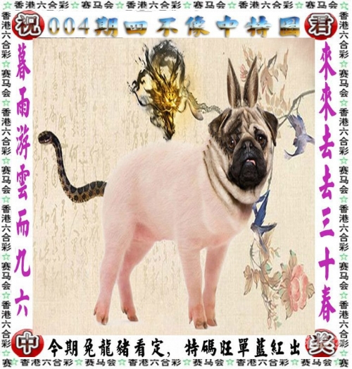 2023澳门马正版免费资料大揭秘-第1张图片