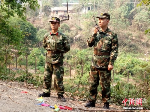 野象路边损汽车野象路边损汽车，安全隐患与道德困境-第1张图片
