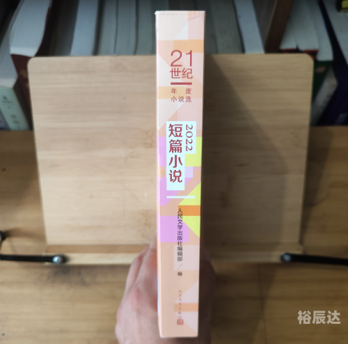 正版资料大全全年2019小说2正版资料大全，全年2019小说精选