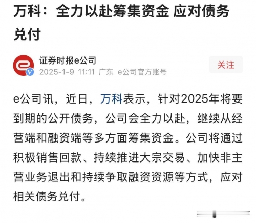 万科融资万科融资策略与挑战
