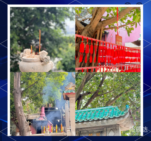 新澳门历史所有记录大全