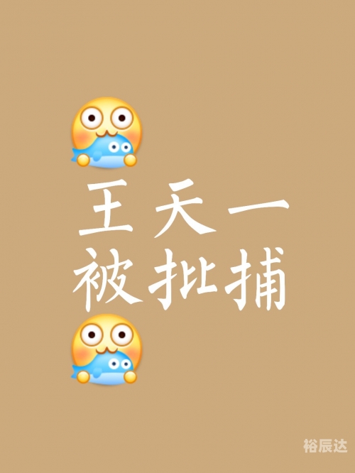 中国象棋大师王天一简历中国象棋大师王，棋艺精湛，技艺高超-第1张图片