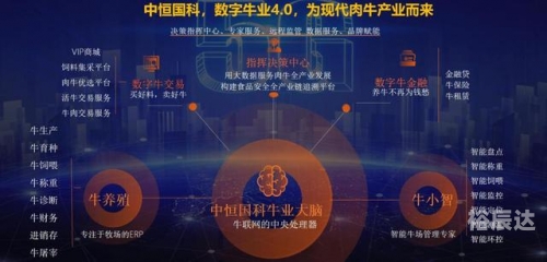 一起牛吧一起牛吧，探索牛业新天地-第1张图片