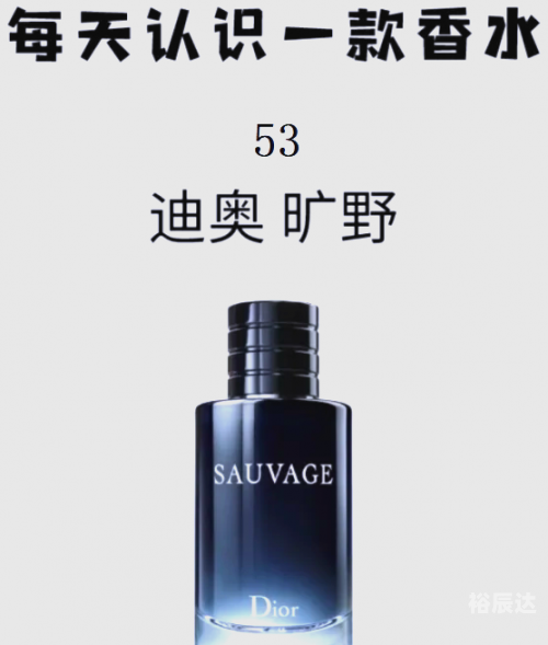 旷野里微妙的光在线阅读旷野微妙之光小说-第2张图片