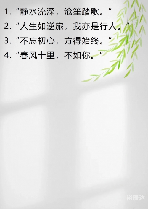 彩字网，文字的魅力与无限可能-第2张图片