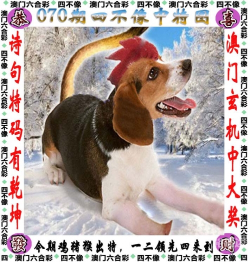 49彩图库免费的资料港澳l49彩图库，免费资料港澳版-第2张图片