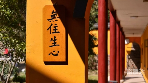什么生肖有七情六欲打一个生肖七情六欲打一个生肖——龙