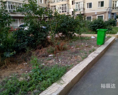 乐安论坛乐安论坛，探讨社区交流与信息共享的平台