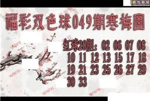 双色球字谜图谜双色球字谜图谜探索