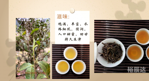 福州茶叶福州茶叶，品味独特，历史悠久-第1张图片