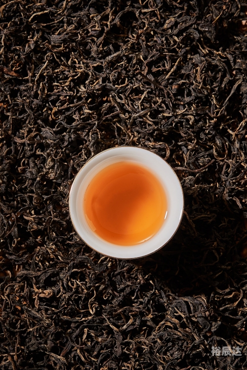 高黎贡山普洱茶，品味自然之韵