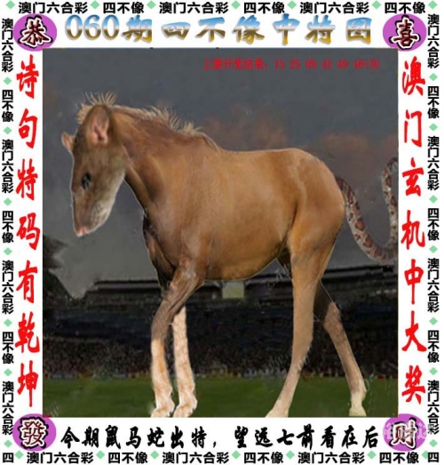 澳门最准内部资料u7新澳内部资料精准大全-第3张图片