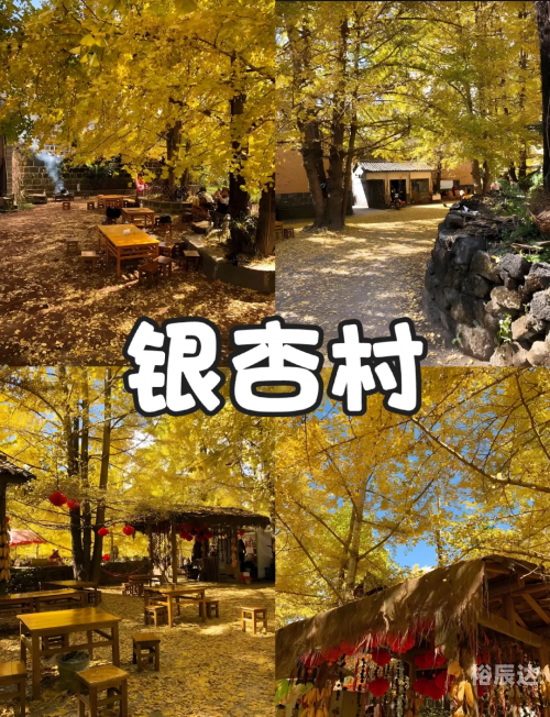 成都到云南旅游团成都至云南旅游团，探索神秘之旅