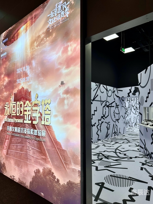 玛雅网maya玛雅网 Maya，探索神秘文化的瑰宝