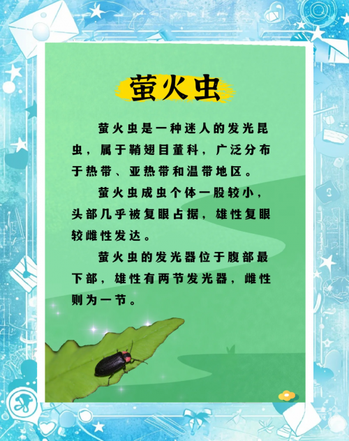 黑蚀龙弱什么属性黑蚀龙，神秘而危险的自然守护者