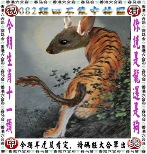管家婆精选二肖二码-第1张图片