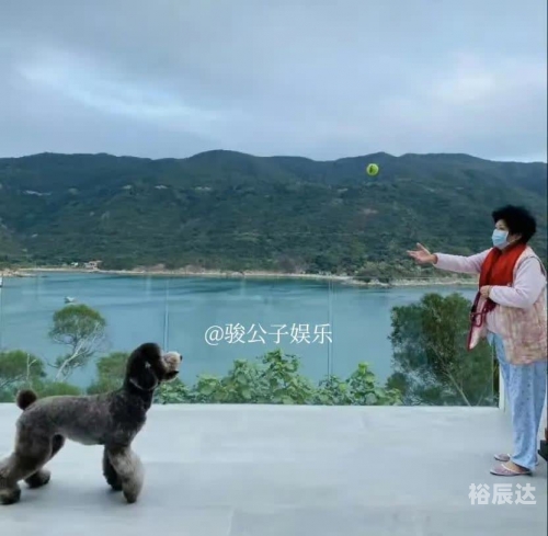 陈伟霆 写完遗嘱后轻松了吗陈伟霆遗嘱后的轻松生活-第1张图片