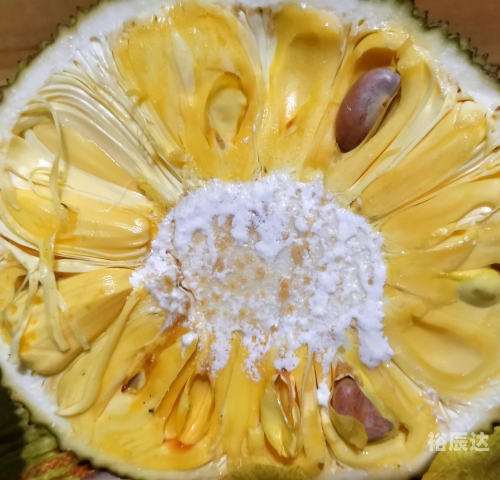 菠萝果，热带水果的魅力