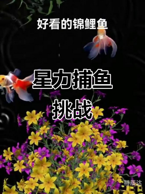 捕鱼星力，海洋生态与人类捕捞的新篇章-第1张图片