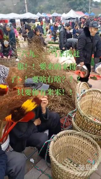 今天买什么今天买什么