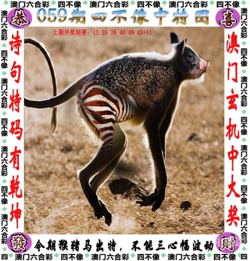 澳门115期开什么澳门115期开奖揭秘-第1张图片