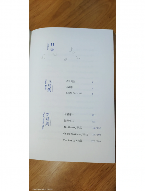 终极道，探寻真理的智慧之路