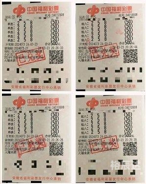 3D今晚中奖号今晚3D中奖号揭晓-第1张图片