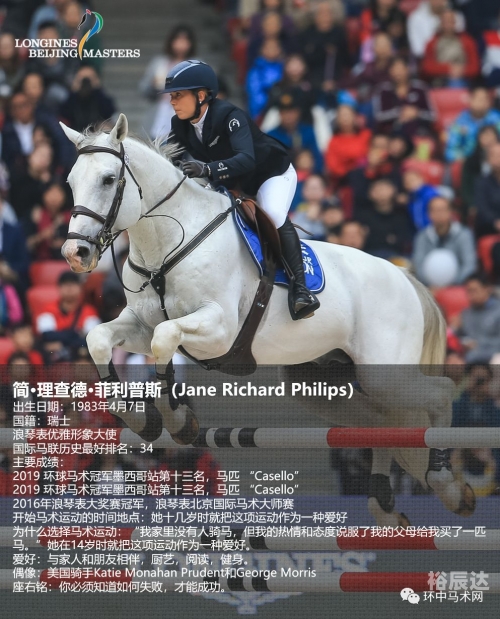 2019年马会正版2019马会正版，正版马匹展的回顾与展望-第1张图片