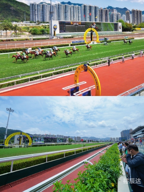 香港免费资料六会宝典香港免费资料六会宝典-第1张图片