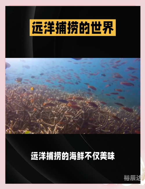 捕鱼星力，海洋生态与人类捕捞的新篇章-第1张图片