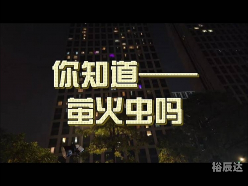 广州萤火虫漫展双排视频广州萤火虫，城市的夜之精灵-第1张图片