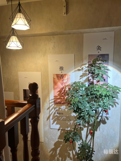 易灸灸易灸灸，轻松体验健康生活的新选择-第1张图片