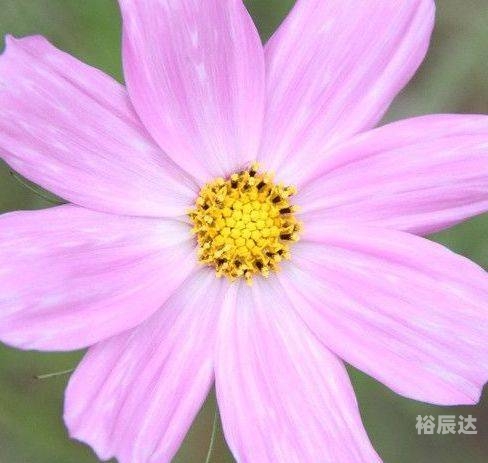2021年11月入宅最旺日子2021年11月入宅最旺日子分析
