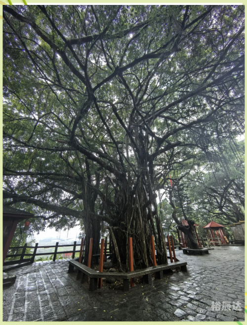 东山岭之旅-第2张图片