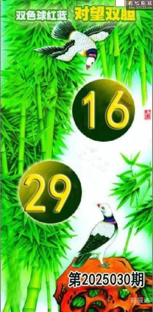 中国彩吧论坛首页中国彩吧论坛字谜中国彩吧论坛，探索彩民交流与信息分享的平台