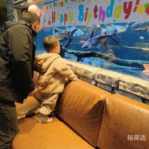 玛雅中文论坛，探索神秘文化的交流平台