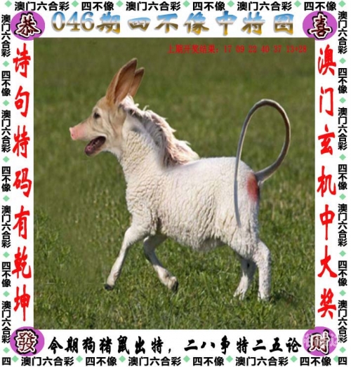澳门正版资料免费大全