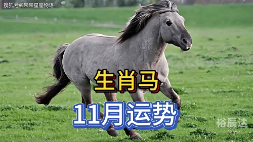 2024年买马生肖表2024年买马生肖表揭秘
