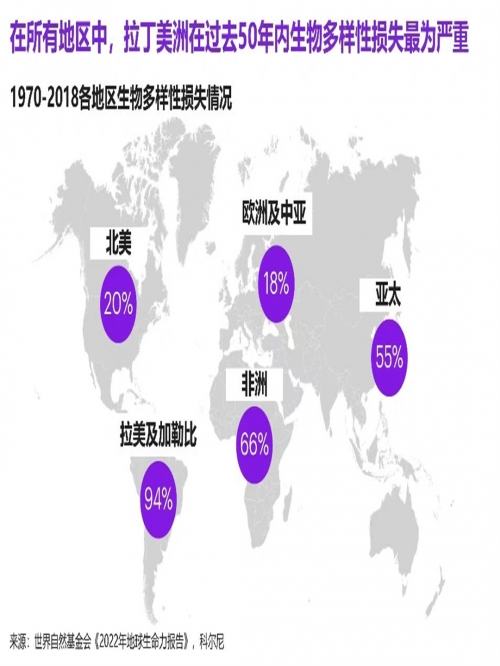 香港六和香港六和，繁华都市中的和谐共生-第2张图片