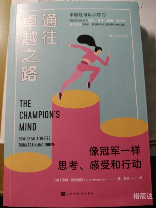 天梯第一步天梯第一，探索卓越之路-第1张图片